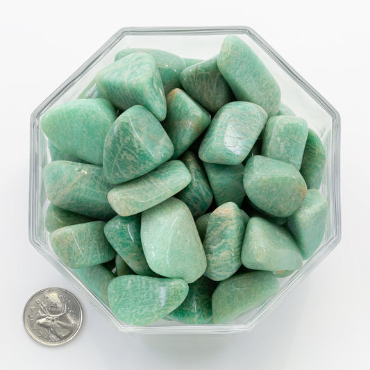 Amazonite Large - Tumbled