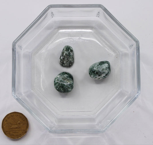 Antigorite Large - Tumbled