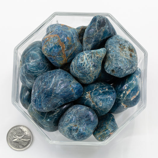 Apatite Blue Jumbo Extra - Tumbled