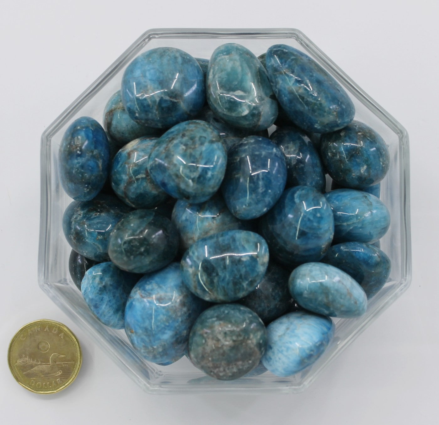 Apatite Blue Large - Tumbled