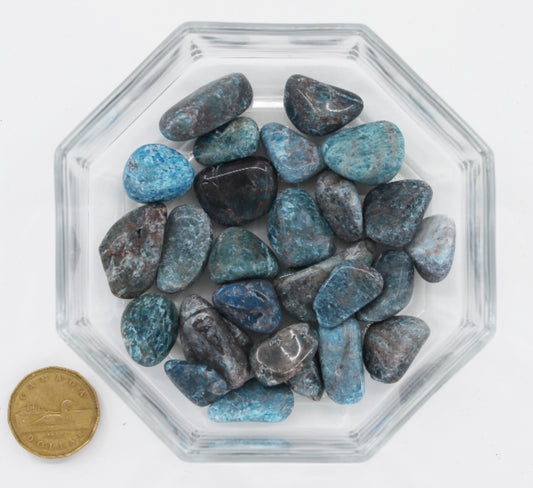 Apatite Small - Tumbled