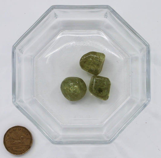 Apatite Yellow Large - Tumbled