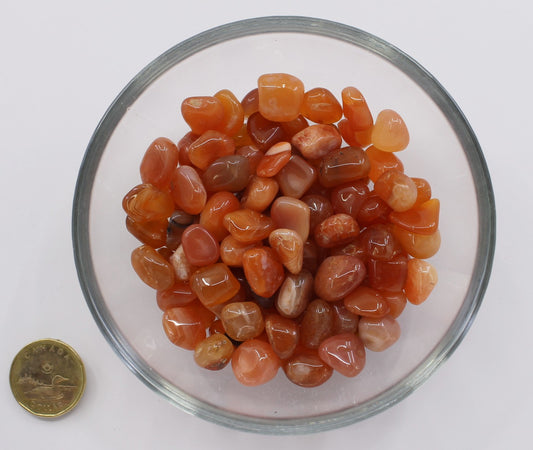 Carnelian 10-12mm - Chips