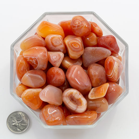 Carnelian Banded Large Extra - Tumbled