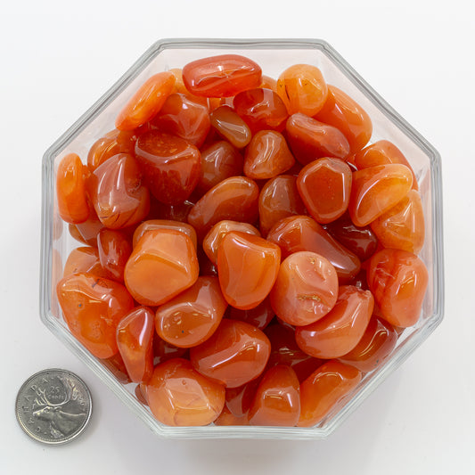 Carnelian Large Extra - Tumbled