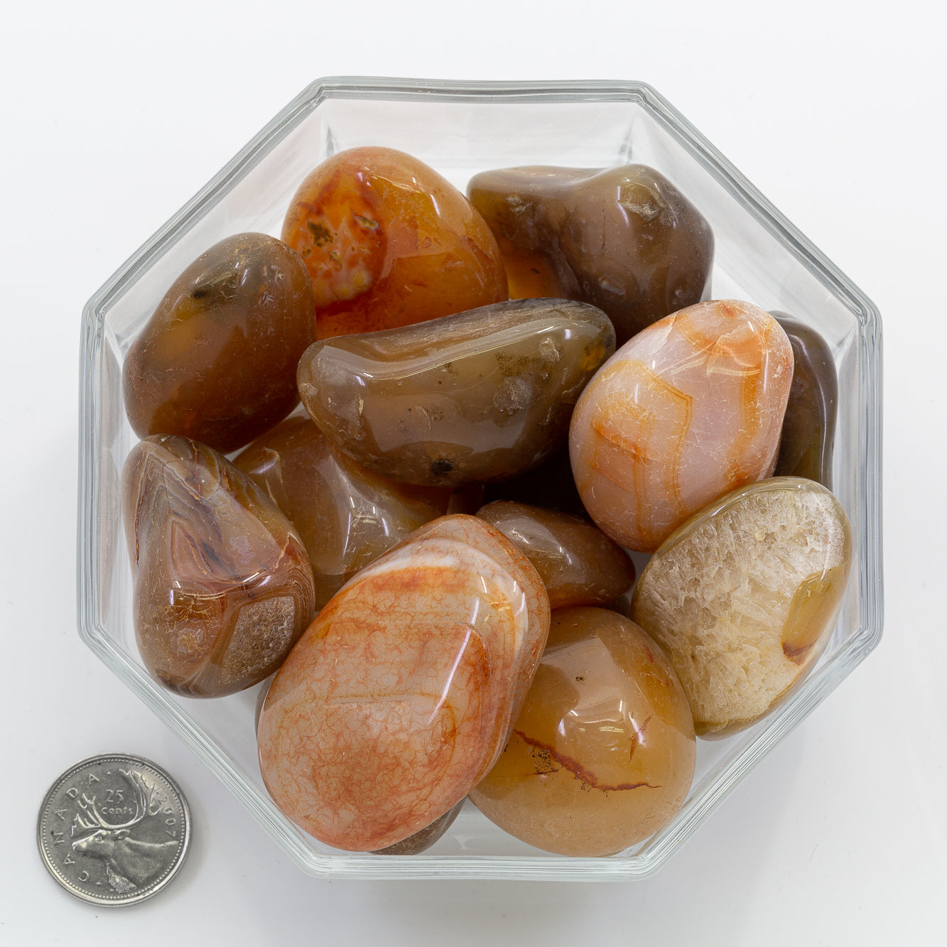 Carnelian Jumbo - Tumbled
