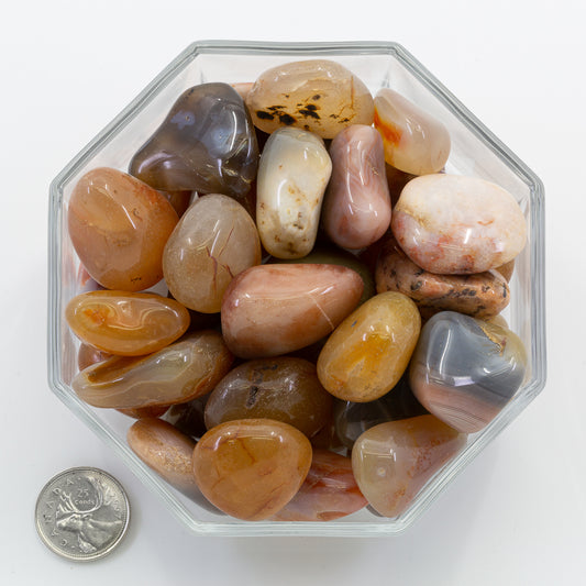 Carnelian Large - Tumbled