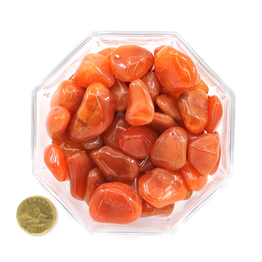 Carnelian Large Extra  - Tumbled
