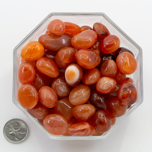 Carnelian Red Large - Tumbled