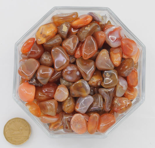 Carnelian Red Medium - Tumbled
