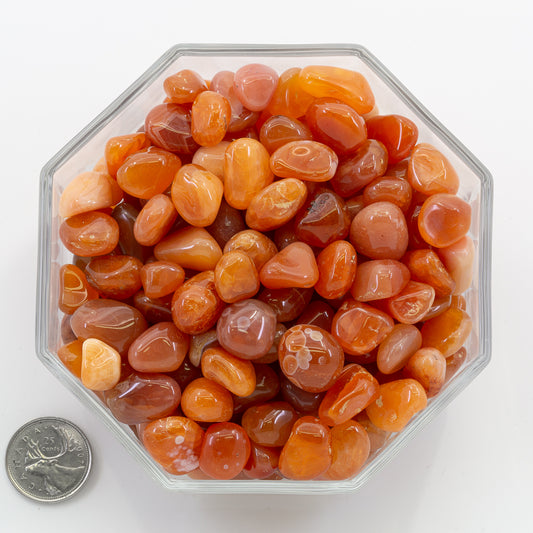 Carnelian Red Orange Small - Tumbled