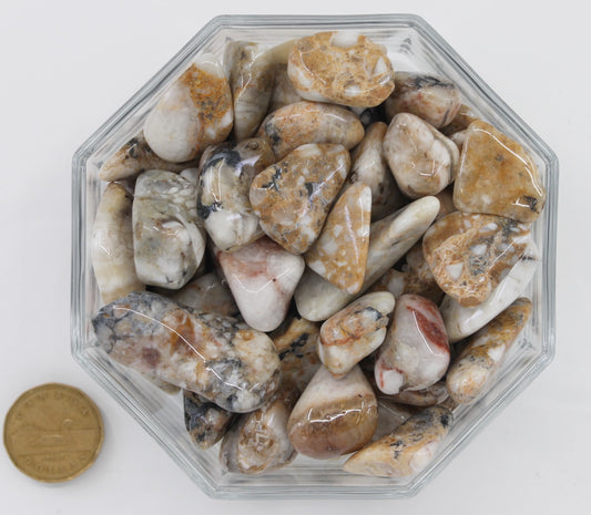Cataclasite Large - Tumbled