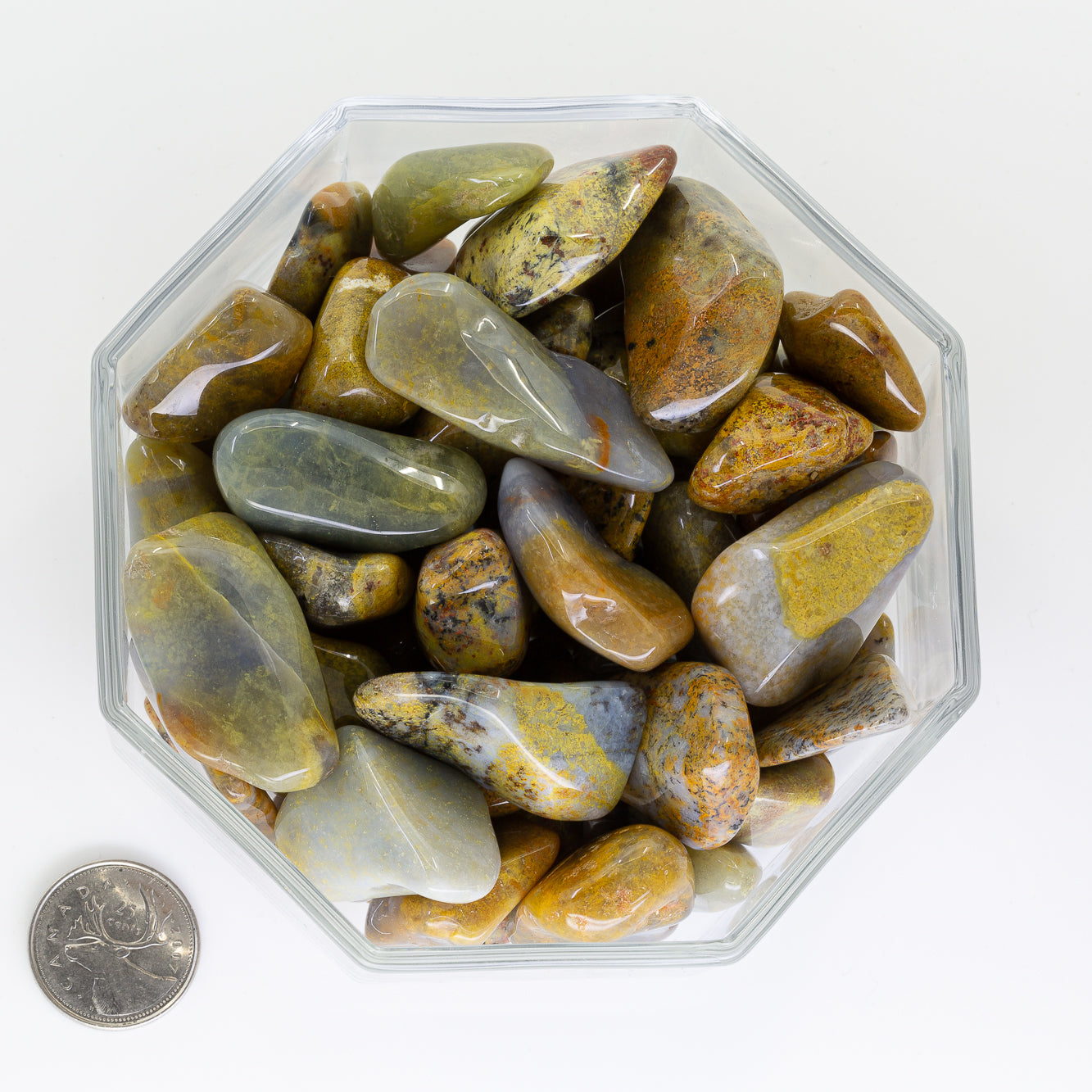 Chalcedony Gold Large - Tumbled