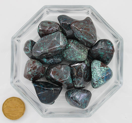 Chrysocolla Cobweb - Tumbled