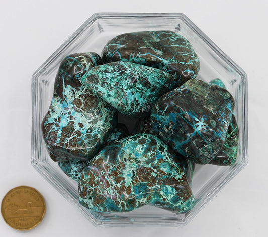 Chrysocolla Jumbo - Tumbled