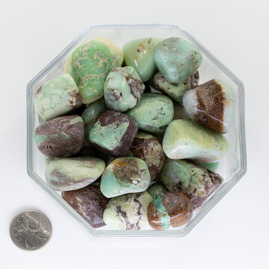 Chrysoprase Large Extra - Tumbled