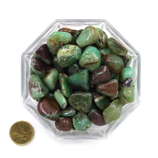 Chrysoprase Extra - Tumbled