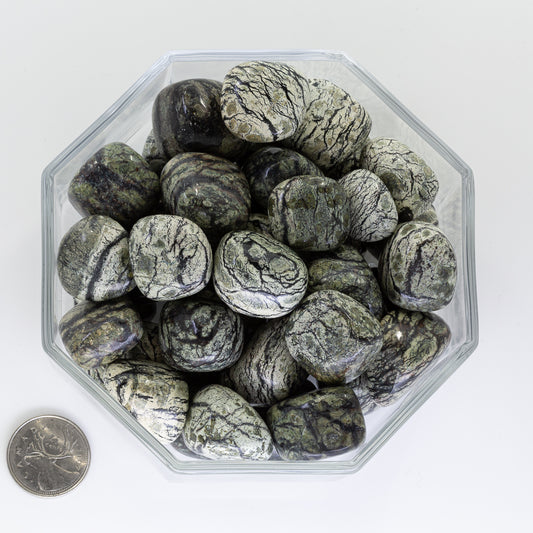 Chrysotile Green Zebra - Tumbled