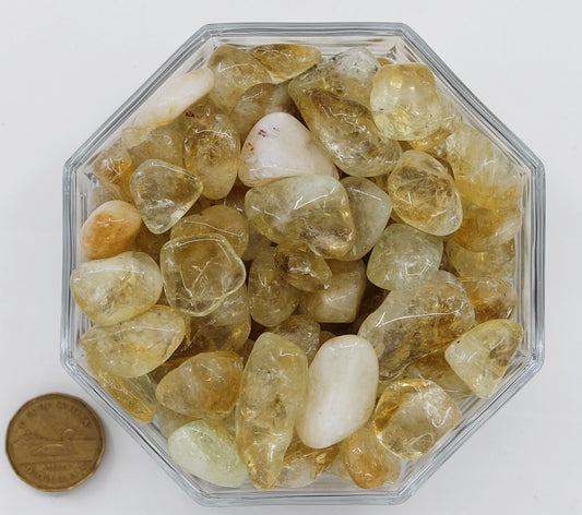 Citrine Dark Large - Tumbled