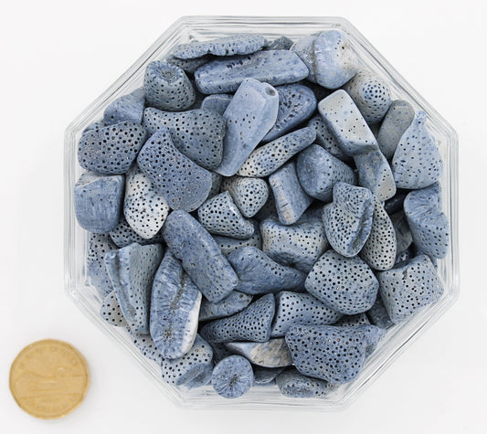 Coral Blue Large - Tumbled