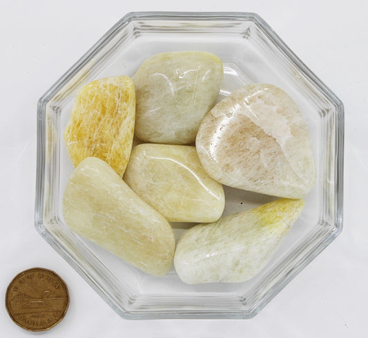 Danburite Yellow Gold Jumbo - Tumbled