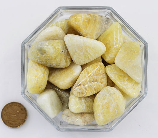 Danburite Yellow Gold Jumbo Extra- Tumbled