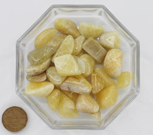 Danburite Yellow Gold Large Extra - Tumbled