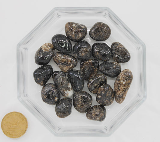 Dravite Brown Tourmaline - Tumbled