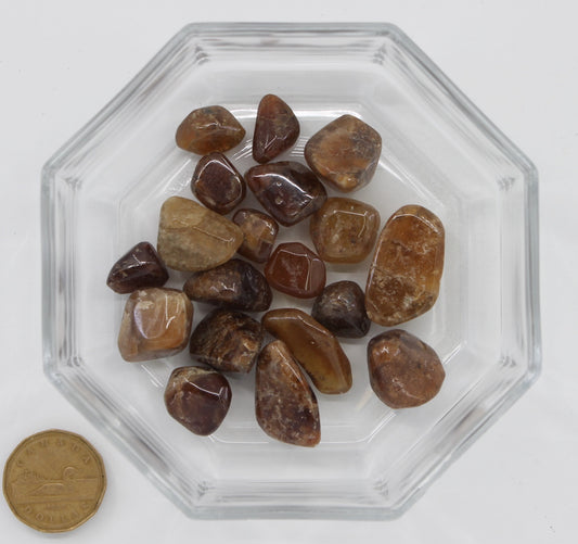 Dravite Brown Tourmaline Light - Tumbled
