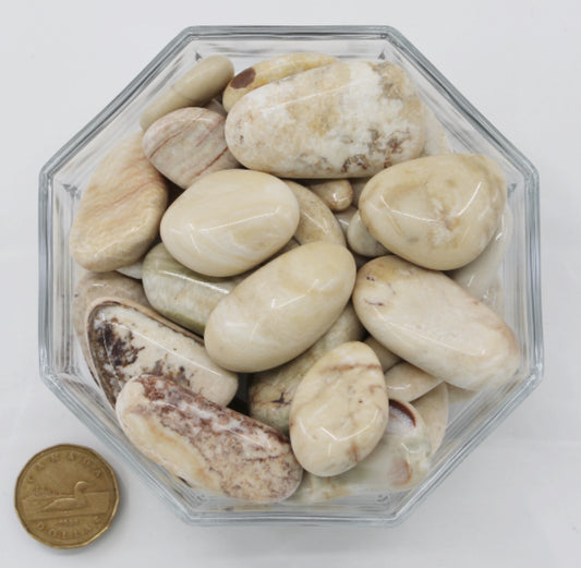 Jasper Ivory Beach Large-Jumbo - Tumbled
