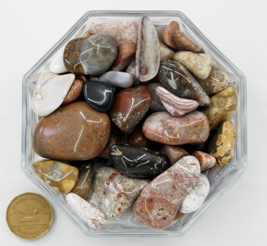 Jasper Gaspesie Large - Tumbled