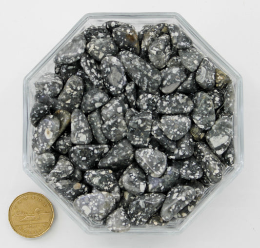 Jasper Guinea Fowl - Tumbled