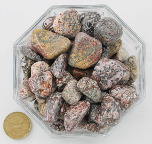Jasper Leopard Skin Large - Tumbled