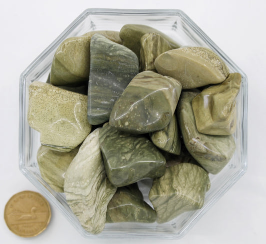 Jasper Lizard Jumbo - Tumbled