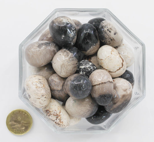 Jasper Palm Root - Tumbled