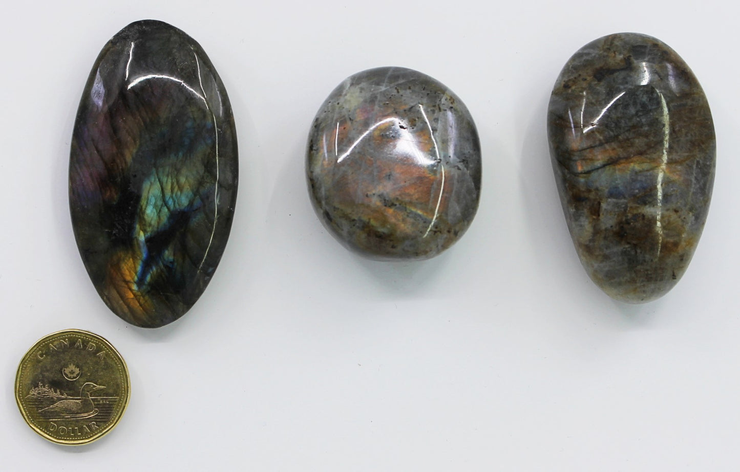 Labradorite Purple - Palmstone