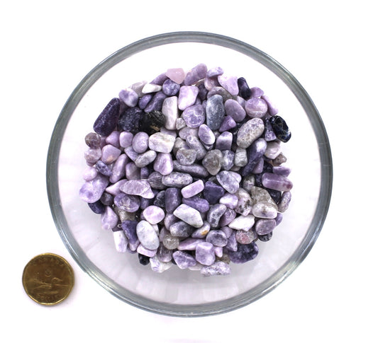 Lepidolite 7-9mm - Chips