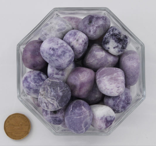 Lepidolite Large Light - Tumbled