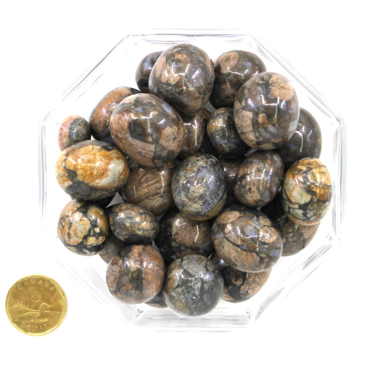 Llanite Que Sera Stone Rouned Large - Tumbled