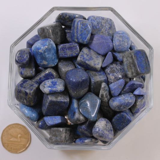 Lapis Lazuli Medium - Tumbled