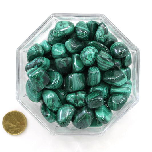 Malachite Medium - Tumbled