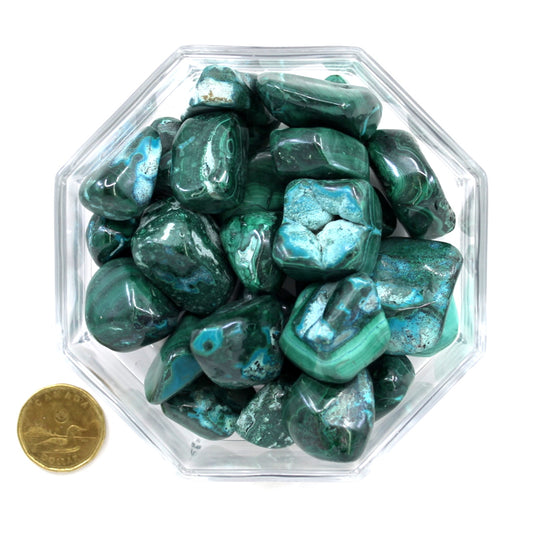 Malacolla Large - Tumbled