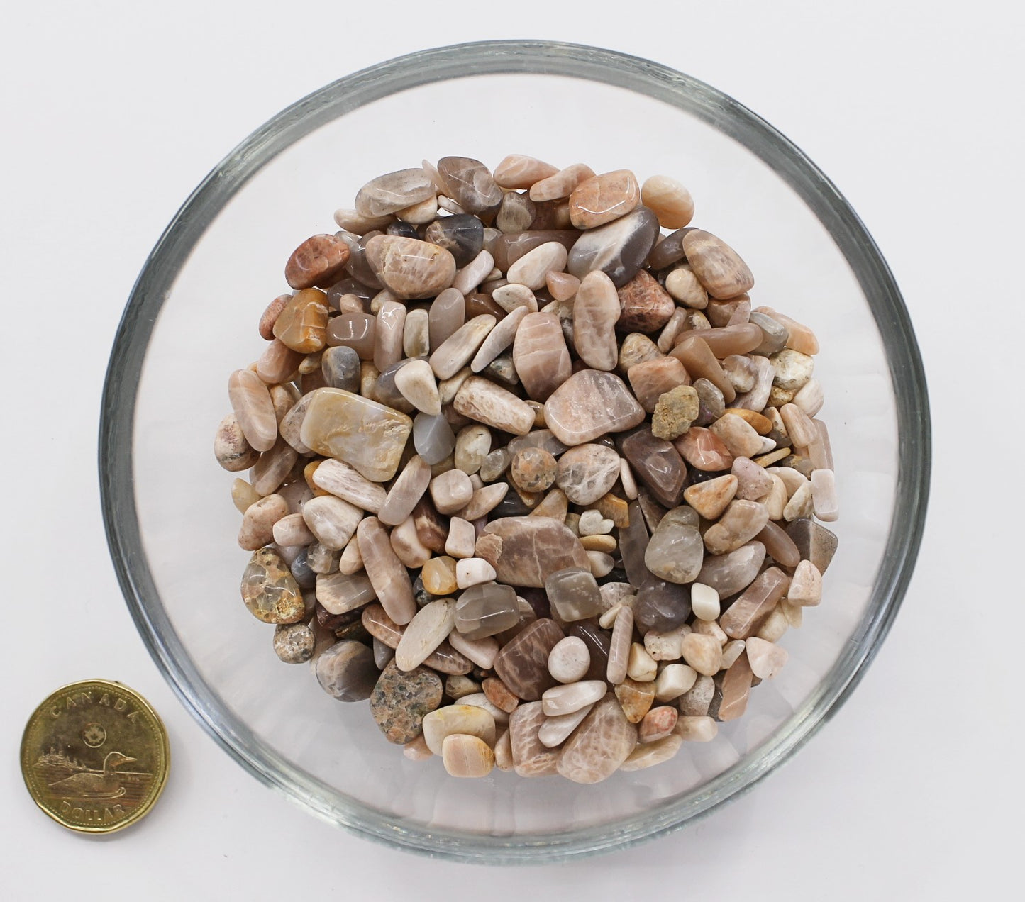 Moonstone Peach 5-7mm - Chips