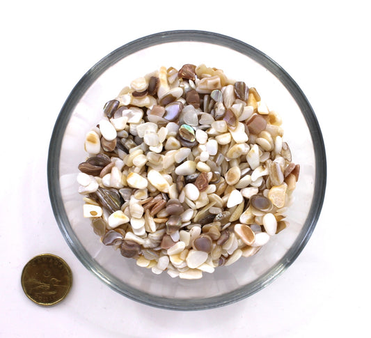 Mother of Pearl (Shell) 5-7mm - Chips