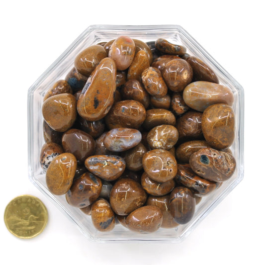 Peristerite Brown - Tumbled