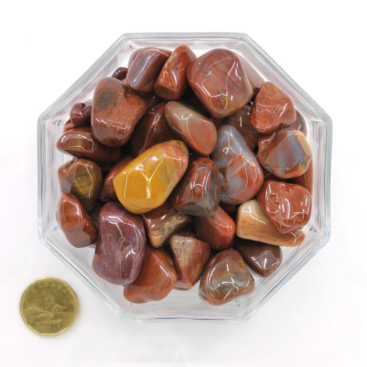 Petrified Wood Red Large - Tumbled