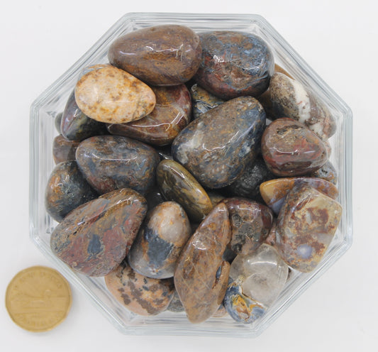 Pietersite Large - Tumbled