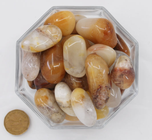 Quartz Amphibole Jumbo Extra - Tumbled