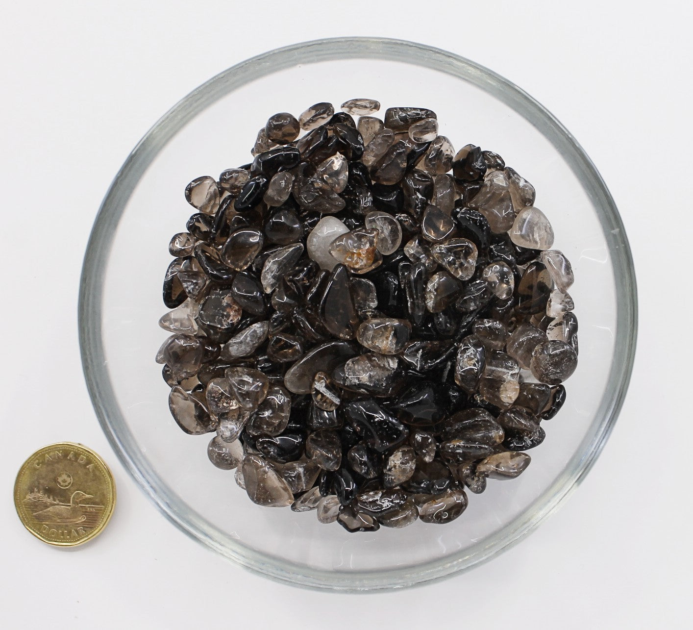Java Chip Quartz Quartz Smokey 7-9mm - Chips – Terra Rock Shop