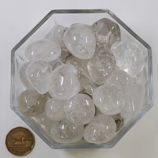 Quartz Clear Large Rounded - Tumbled